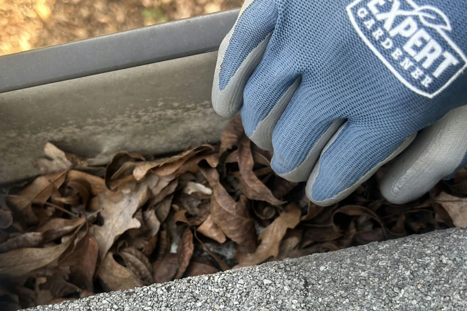 Gutter Cleaning Robbinsville